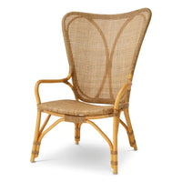 Chair Colony honey finish, shown in honey and natural tan with rattan, cane, and fixed arms.
