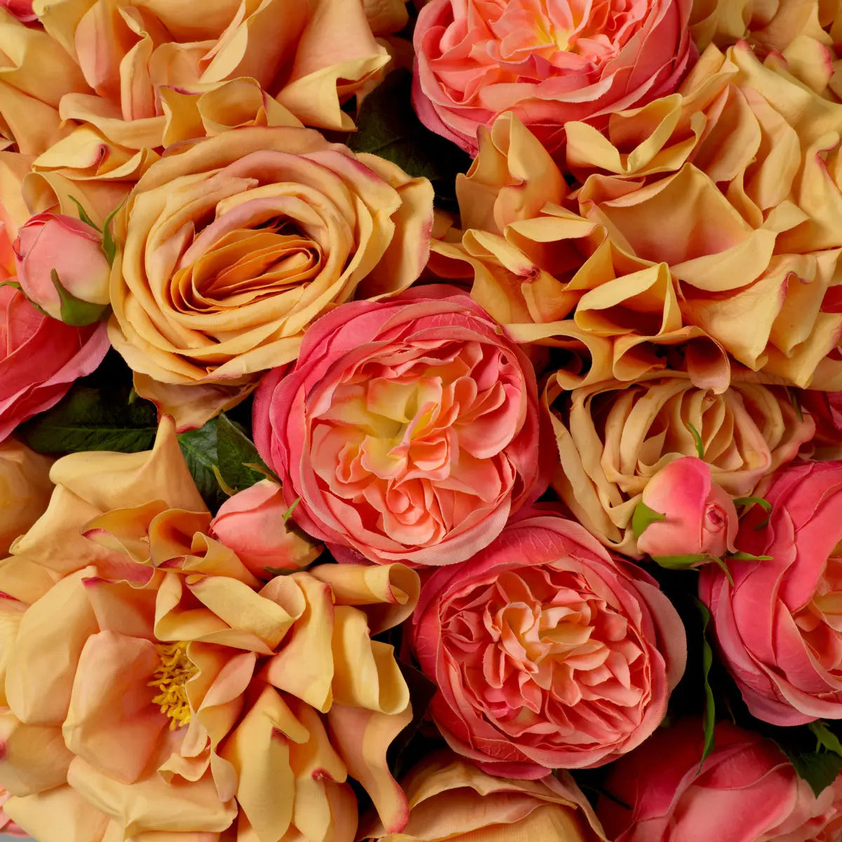 Additional view of Bouquet Of Roses Real Touch Three Tone Peach 72 Pcs/3 Varieties in peach and coral.