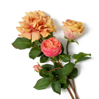 Bouquet Of Roses Real Touch Three Tone Peach 72 Pcs/3 Varieties - image 4