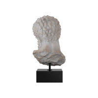 Decorative Objects Hercules Head on Metal Stand