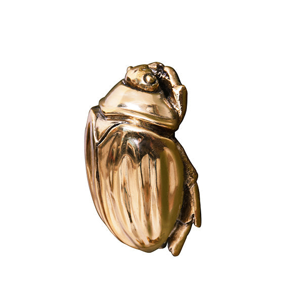 Alternate view of Beetle Knob In Brass, featuring polished finish, brass, metal, and cabinet/drawer knob.