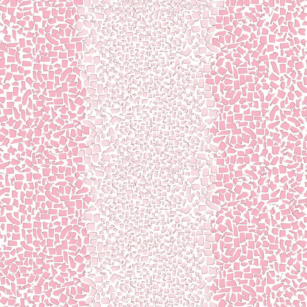 Honey & Hank Fifty States Shagreen Wallpaper-Mitchell Black-MITCHB-WCHH102-BH-PM-10-Wall DecorPatterns Blush-Premium Matte Paper-1-France and Son