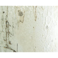 Mark McDowell's Gilded Ivory