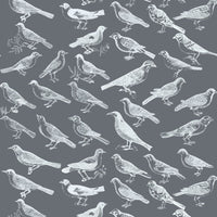 Tweeter Wallpaper-Mitchell Black-MITCHB-WC323-3-PM-10-Wall DecorPatterns Gray-Premium Matte Paper-3-France and Son
