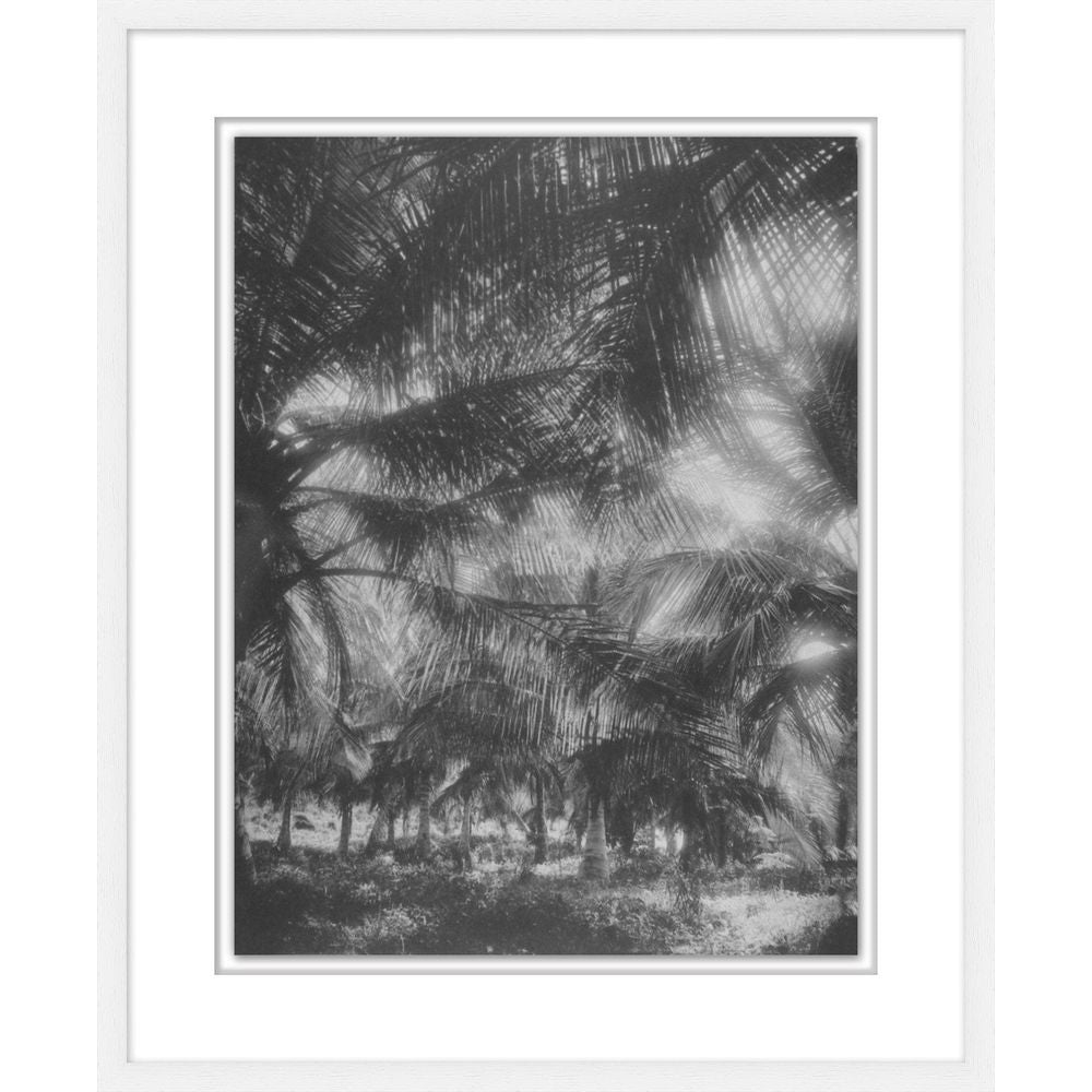 Tropical Palm Alcove 2, shown in black and white with paper, wood, and a wall-hanging frame.
