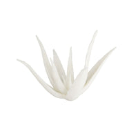Drayen Sculpture, shown in white with ceramic and freestanding tabletop sculpture.