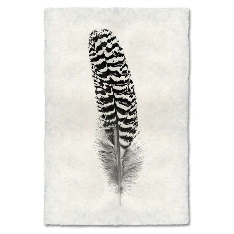 Feather Study #13 Print, shown in black and white with paper, ink, and flat printable sheet for framing or wall mounting.