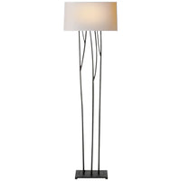 Aspenia Floor Lamp-Visual Comfort-VISUAL-S 1050BR-NP-Floor LampsBlack Rust-Natural Paper Shade-1-France and Son