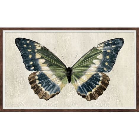 Antique Moth 2, shown in sage green and cream with canvas, wood frame, and wall-hanging framed artwork.