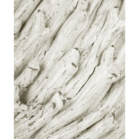Vases Seadrift Small White Vase